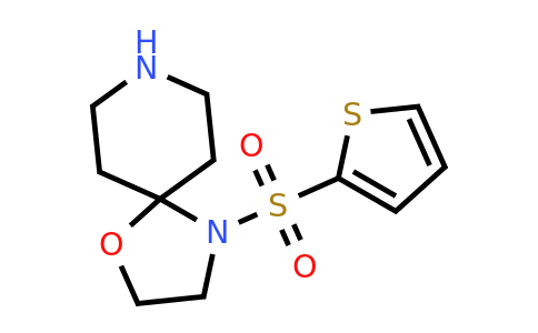 1172931-63-3 | 4-(Thiophen-2-ylsulfonyl)-1-oxa-4,8-diazaspiro[4.5]decane