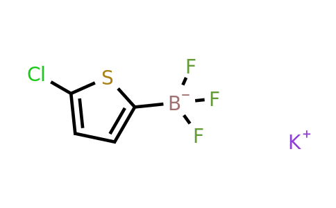 1190883-05-6 | Potassium (5-chlorothiophen-2-yl)trifluoroborate