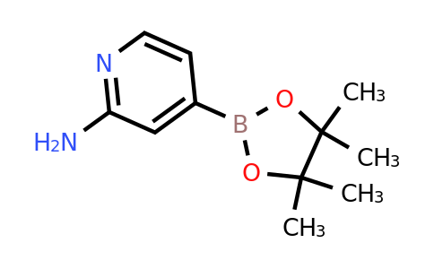 1195995-72-2 | 4-(4,4,5,5-Tetramethyl-1,3,2-dioxaborolan-2-yl)pyridin-2-amine