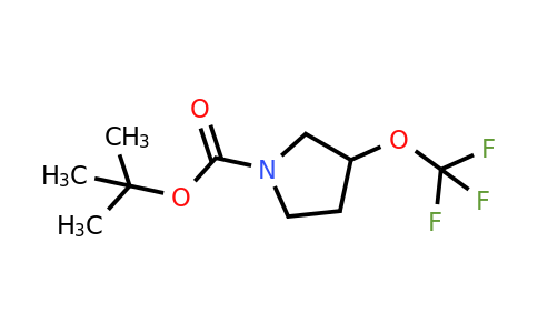 1206523-91-2 | tert-butyl 3-(trifluoromethoxy)pyrrolidine-1-carboxylate