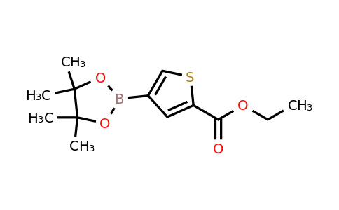1207557-61-6 | Ethyl 4-(4,4,5,5-tetramethyl-1,3,2-dioxaborolan-2-yl)thiophene-2-carboxylate