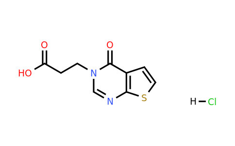 1209189-00-3 | 3-(4-Oxothieno[2,3-d]pyrimidin-3(4h)-yl)propanoic acid hydrochloride