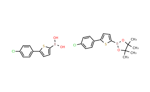 1210470-48-6 | (5-(4-chlorophenyl)thiophen-2-yl)boronic acid