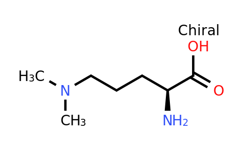 121428-46-4 | (S)-2-Amino-5-(dimethylamino)pentanoic acid