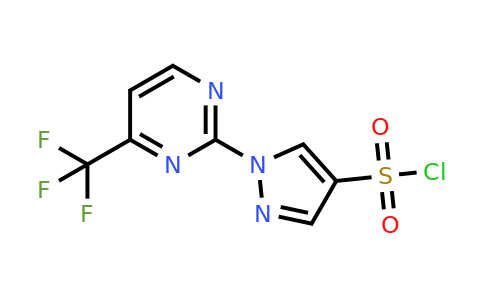 1215564-15-0 | 1-(4-(Trifluoromethyl)pyrimidin-2-yl)-1H-pyrazole-4-sulfonyl chloride