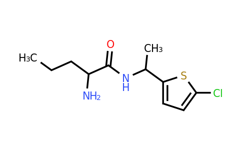 1218114-38-5 | 2-Amino-n-[1-(5-chlorothiophen-2-yl)ethyl]pentanamide