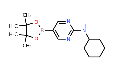 1218789-35-5 | N-Cyclohexyl-5-(4,4,5,5-tetramethyl-1,3,2-dioxaborolan-2-yl)pyrimidin-2-amine