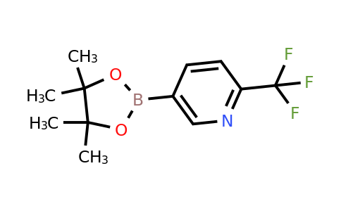 1218790-39-6 | 5-(4,4,5,5-Tetramethyl-1,3,2-dioxaborolan-2-yl)-2-(trifluoromethyl)pyridine