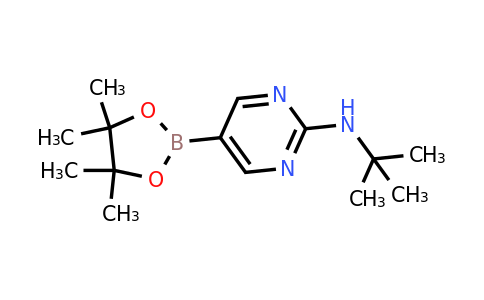 1218791-43-5 | n-(Tert-butyl)-5-(4,4,5,5-tetramethyl-1,3,2-dioxaborolan-2-yl)pyrimidin-2-amine