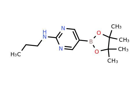 1218791-47-9 | 2-Propylaminopyrimidine-5-boronic acid pinacol ester