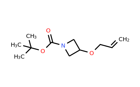 1221715-81-6 | tert-Butyl 3-(allyloxy)azetidine-1-carboxylate