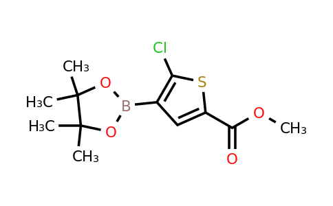 1227664-24-5 | Methyl 5-chloro-4-(4,4,5,5-tetramethyl-1,3,2-dioxaborolan-2-yl)thiophene-2-carboxylate