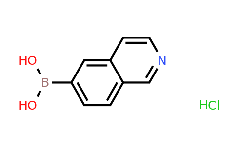 1236031-63-2 | Isoquinolin-6-ylboronic acid hydrochloride