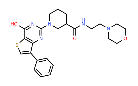 1242864-59-0 | 1-(4-Hydroxy-7-phenylthieno[3,2-d]pyrimidin-2-yl)-N-(2-morpholinoethyl)piperidine-3-carboxamide