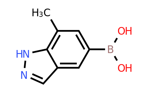 1245816-07-2 | (7-Methyl-1H-indazol-5-yl)boronic acid