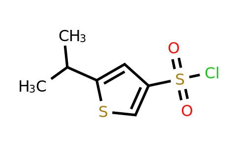 1245823-84-0 | 5-(Propan-2-yl)thiophene-3-sulfonyl chloride