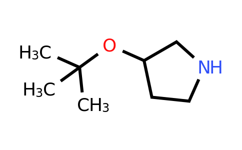 3-tert-butoxypyrrolidine