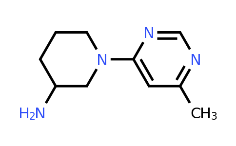 1247748-92-0 | 1-(6-Methylpyrimidin-4-yl)piperidin-3-amine