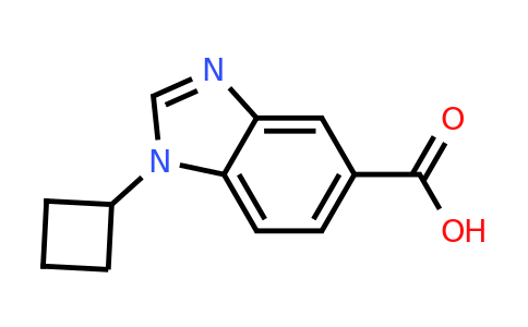 1249001-09-9 | 1-Cyclobutyl-1h-benzo[d]imidazole-5-carboxylic acid