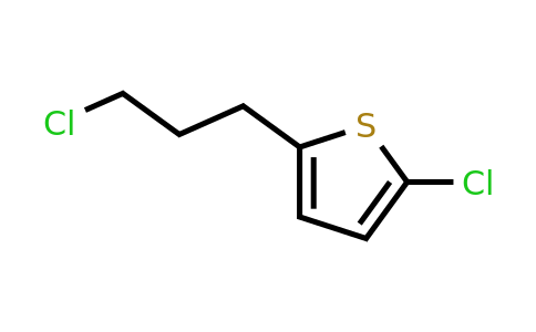 1250362-60-7 | 2-Chloro-5-(3-chloropropyl)thiophene