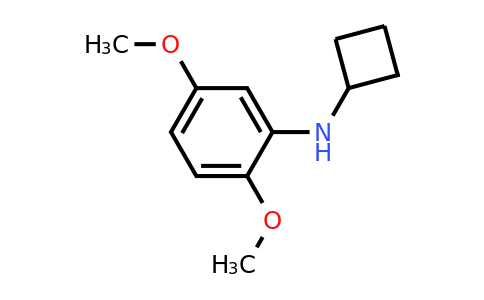 1251360-64-1 | n-Cyclobutyl-2,5-dimethoxyaniline