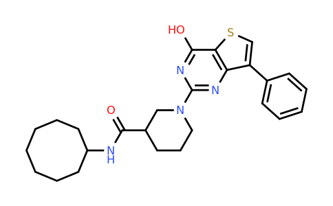 1251623-14-9 | N-cyclooctyl-1-(4-hydroxy-7-phenylthieno[3,2-d]pyrimidin-2-yl)piperidine-3-carboxamide