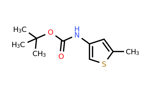 1251734-12-9 | tert-Butyl (5-methylthiophen-3-yl)carbamate
