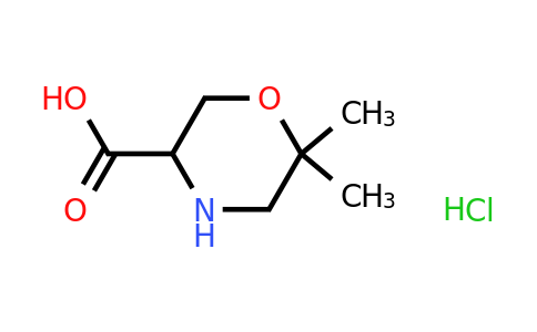 6,6-Dimethylmorpholine-3-carboxylicacidhydrochloride