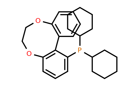1256169-95-5 | Dicyclohexyl(6,7-dihydrodibenzo[e,g][1,4]dioxocin-1-yl)phosphine