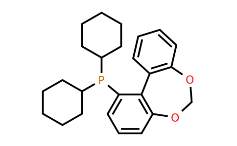 1256170-06-5 | Dicyclohexyldibenzo[d,f][1,3]dioxepin-1-ylphosphine