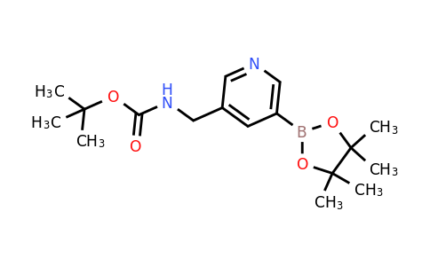 1257554-93-0 | tert-Butyl ((5-(4,4,5,5-tetramethyl-1,3,2-dioxaborolan-2-yl)pyridin-3-yl)methyl)carbamate