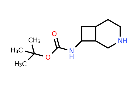 1258652-27-5 | Tert-butyl (3-azabicyclo[4.2.0]octan-8-yl)carbamate