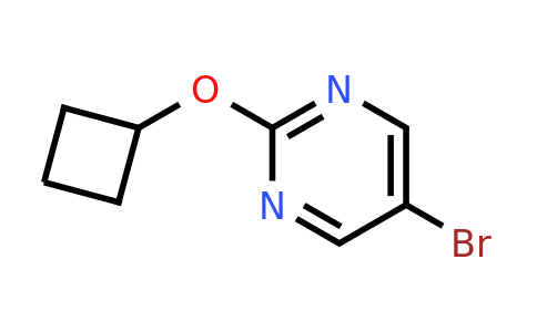 1260833-40-6 | 5-Bromo-2-cyclobutoxypyrimidine