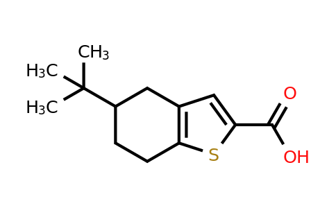 126231-22-9 | 5-(tert-Butyl)-4,5,6,7-tetrahydrobenzo[b]thiophene-2-carboxylic acid