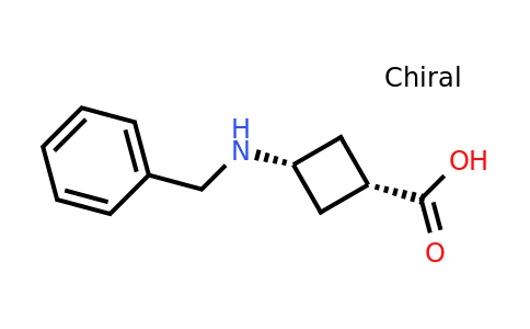 cis-3-(benzylamino)cyclobutanecarboxylic acid