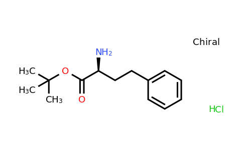 130316-46-0 | L-Homophenylalanine tert-Butyl Ester Hydrochloride