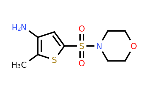 1306606-92-7 | 2-Methyl-5-(morpholinosulfonyl)thiophen-3-amine