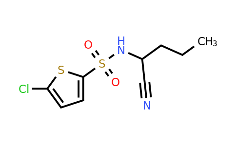 1307718-57-5 | 5-Chloro-n-(1-cyanobutyl)thiophene-2-sulfonamide