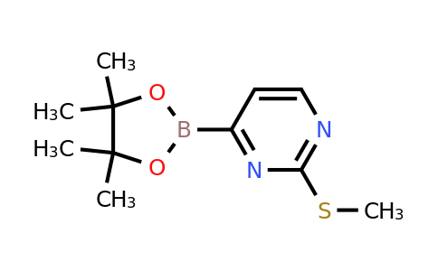 1310383-19-7 | 2-(Methylthio)-4-(4,4,5,5-tetramethyl-1,3,2-dioxaborolan-2-yl)pyrimidine