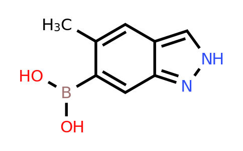 1310383-42-6 | (5-Methyl-2H-indazol-6-yl)boronic acid