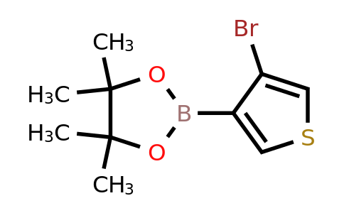 1310404-31-9 | 2-(4-Bromo-3-thienyl)-4,4,5,5-tetramethyl-1,3,2-dioxaborolane