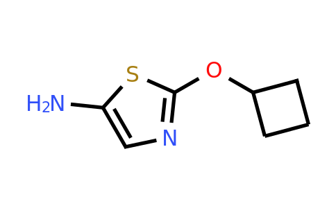 1314356-04-1 | 2-Cyclobutoxythiazol-5-amine