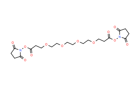 Bis-PEG4-NHS ester