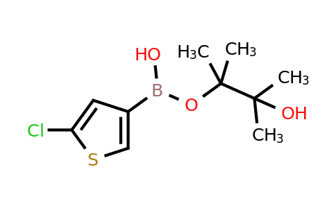1315354-56-3 | 3-Hydroxy-2,3-dimethylbutan-2-yl hydrogen (5-chlorothiophen-3-yl)boronate