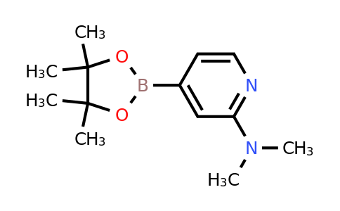N,N-Dimethyl-4-(4,4,5,5-tetramethyl-1,3,2-dioxaborolan-2-yl)pyridin-2-amine
