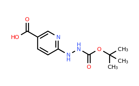 133081-25-1 | 6-(2-(tert-Butoxycarbonyl)hydrazinyl)nicotinic acid