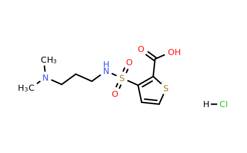 1333731-60-4 | 3-{[3-(dimethylamino)propyl]sulfamoyl}thiophene-2-carboxylic acid hydrochloride