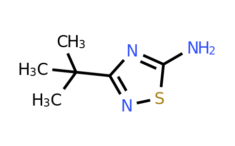 13383-44-3 | 3-tert-Butyl-1,2,4-thiadiazol-5-amine