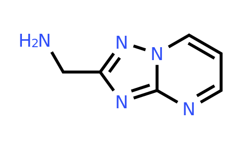 1338670-04-4 | [1,2,4]triazolo[1,5-a]pyrimidin-2-ylmethanamine
