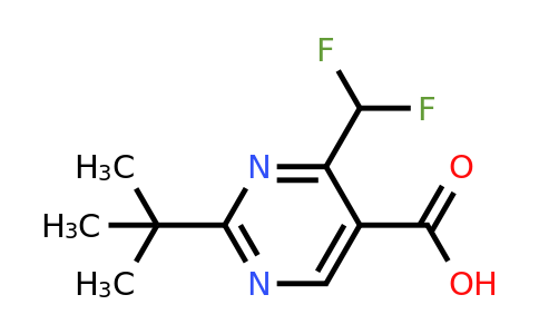 1340367-77-2 | 2-(Tert-butyl)-4-(difluoromethyl)pyrimidine-5-carboxylic acid
